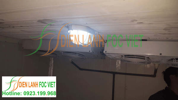 lắp đặt kho lạnh vacxin