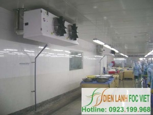 Lắp đặt kho lạnh thủy sản