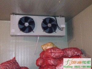 Bảo quản khoai tây giống bằng kho lạnh nông sản Bảo quản khoai tây giống bằng kho lạnh nông sản