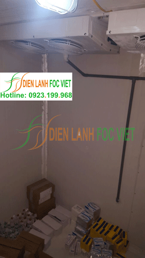 lắp đặt kho lạnh bảo quản vacxin