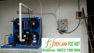 Lắp đặt kho lạnh bảo quản khoai tây-Bắc Ninh Lắp đặt kho lạnh bảo quản khoai tây-Bắc Ninh