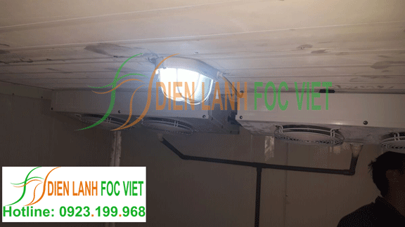 lắp đặt kho lạnh bảo quản thuốc thú y