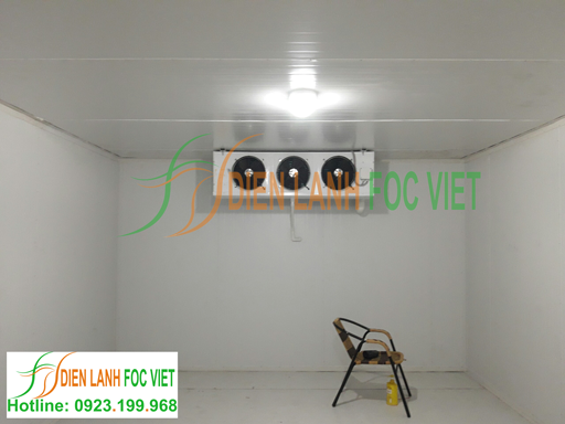 lắp đặt kho lạnh bảo quản cam