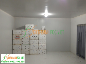 Kho lạnh bảo quản cam tươi