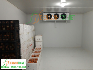 Lắp đặt kho lạnh bảo quản cam
