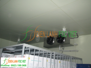 Thi công kho lạnh bảo quản sinh phẩm y tế Thi công kho lạnh bảo quản sinh phẩm y tế
